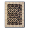 Persian D Handmade Rug – Black & Ivory Floral Design – 8x10 Ft