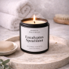 Eucalyptus Spearmint Scented Candle – 8 Oz Aromatherapy Soy Candle